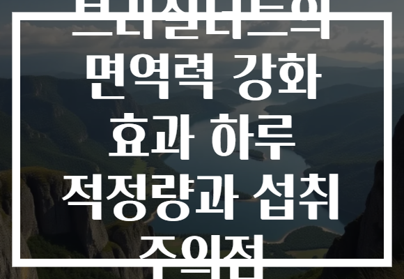 브라질너트의 면역력 강화 효과 하루 적정량과 섭취 주의점