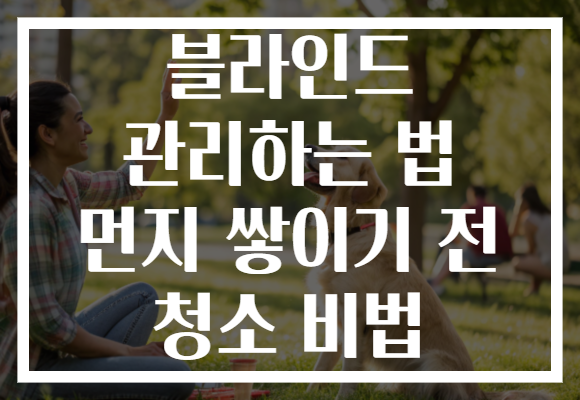 블라인드 관리하는 법 먼지 쌓이기 전 청소 비법