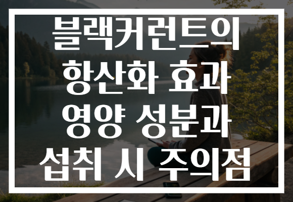 블랙커런트의 항산화 효과 영양 성분과 섭취 시 주의점 블랙커런트의 항산화 효과 영양 성분과 섭취 시 주의점