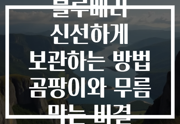 블루베리 신선하게 보관하는 방법 곰팡이와 무름 막는 비결 블루베리 신선하게 보관하는 방법 곰팡이와 무름 막는 비결