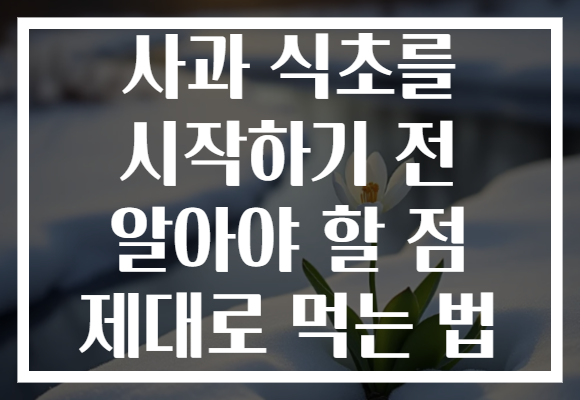 사과 식초를 시작하기 전 알아야 할 점 제대로 먹는 법 사과 식초를 시작하기 전 알아야 할 점 제대로 먹는 법