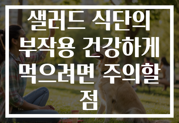 샐러드 식단의 부작용 건강하게 먹으려면 주의할 점 샐러드 식단의 부작용 건강하게 먹으려면 주의할 점