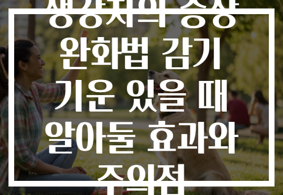 생강차의 증상 완화법 감기 기운 있을 때 알아둘 효과와 주의점 생강차의 증상 완화법 감기 기운 있을 때 알아둘 효과와 주의점