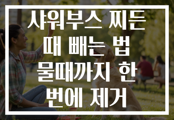 샤워부스 찌든 때 빼는 법 물때까지 한 번에 제거