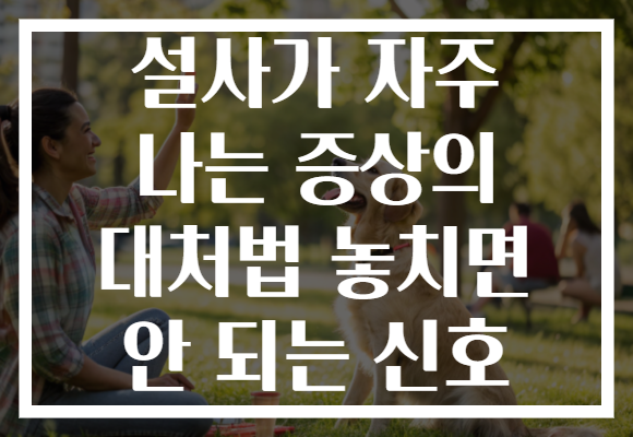 설사가 자주 나는 증상의 대처법 놓치면 안 되는 신호