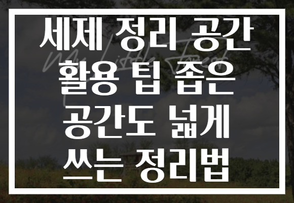 세제 정리 공간 활용 팁 좁은 공간도 넓게 쓰는 정리법 세제 정리 공간 활용 팁 좁은 공간도 넓게 쓰는 정리법