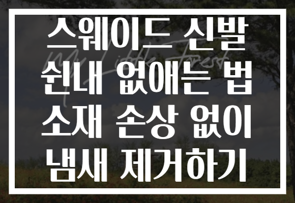 스웨이드 신발 쉰내 없애는 법 소재 손상 없이 냄새 제거하기