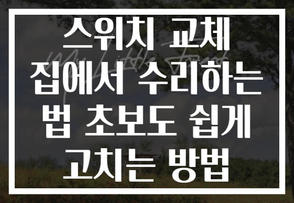 스위치 교체 집에서 수리하는 법 초보도 쉽게 고치는 방법