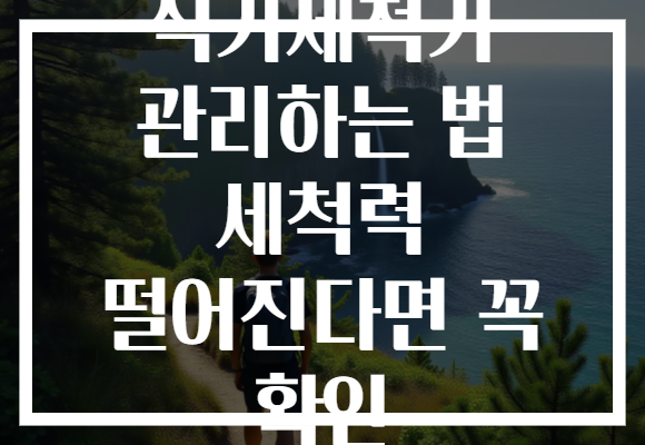 식기세척기 관리하는 법 세척력 떨어진다면 꼭 확인 식기세척기 관리하는 법 세척력 떨어진다면 꼭 확인