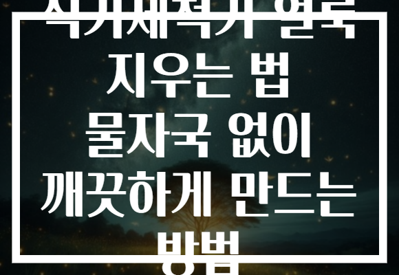식기세척기 얼룩 지우는 법 물자국 없이 깨끗하게 만드는 방법 식기세척기 얼룩 지우는 법 물자국 없이 깨끗하게 만드는 방법
