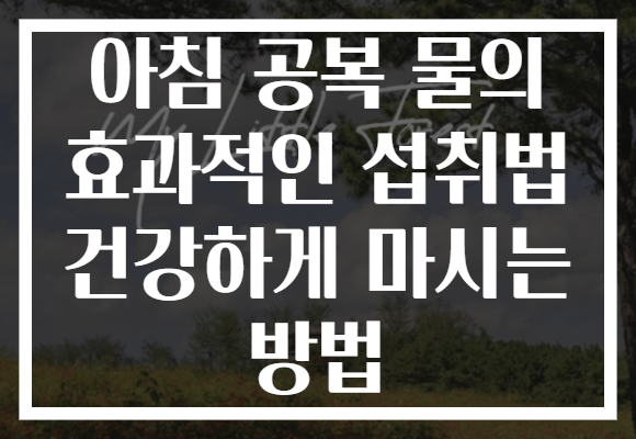 아침 공복 물의 효과적인 섭취법 건강하게 마시는 방법 아침 공복 물의 효과적인 섭취법 건강하게 마시는 방법