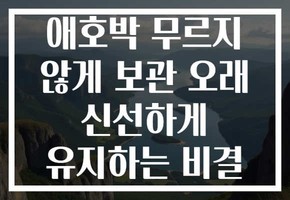 애호박 무르지 않게 보관 오래 신선하게 유지하는 비결