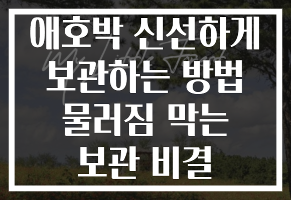 애호박 신선하게 보관하는 방법 물러짐 막는 보관 비결