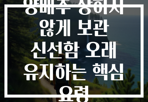 양배추 상하지 않게 보관 신선함 오래 유지하는 핵심 요령 양배추 상하지 않게 보관 신선함 오래 유지하는 핵심 요령