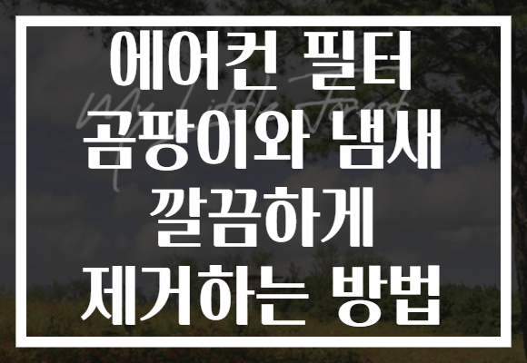 에어컨 필터 곰팡이와 냄새 깔끔하게 제거하는 방법