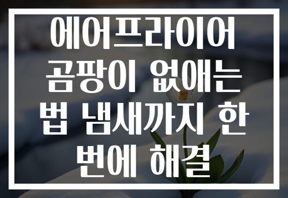 에어프라이어 곰팡이 없애는 법 냄새까지 한 번에 해결 에어프라이어 곰팡이 없애는 법 냄새까지 한 번에 해결