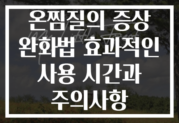 온찜질의 증상 완화법 효과적인 사용 시간과 주의사항 온찜질의 증상 완화법 효과적인 사용 시간과 주의사항