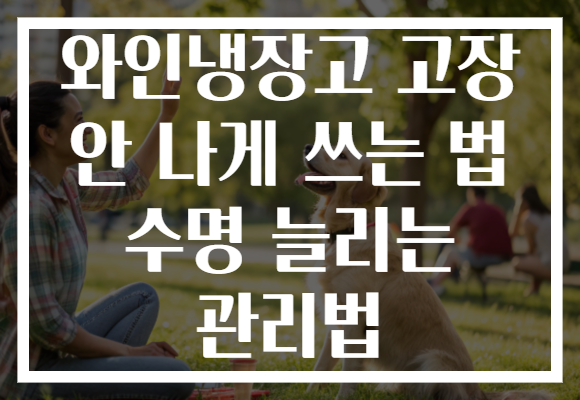 와인냉장고 고장 안 나게 쓰는 법 수명 늘리는 관리법 와인냉장고 고장 안 나게 쓰는 법 수명 늘리는 관리법