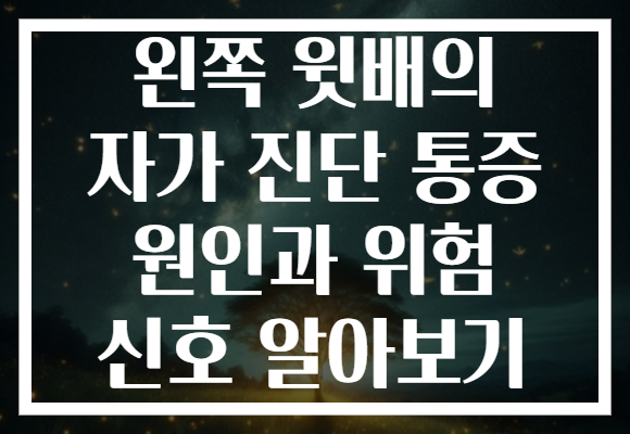 왼쪽 윗배의 자가 진단 통증 원인과 위험 신호 알아보기 왼쪽 윗배의 자가 진단 통증 원인과 위험 신호 알아보기