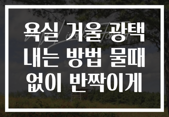 욕실 거울 광택 내는 방법 물때 없이 반짝이게 욕실 거울 광택 내는 방법 물때 없이 반짝이게