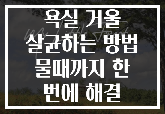 욕실 거울 살균하는 방법 물때까지 한 번에 해결 욕실 거울 살균하는 방법 물때까지 한 번에 해결