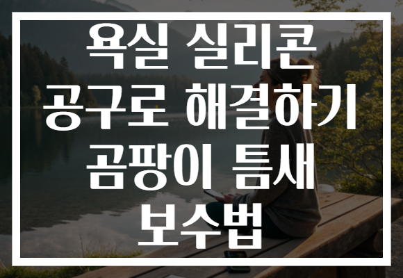 욕실 실리콘 공구로 해결하기 곰팡이 틈새 보수법 욕실 실리콘 공구로 해결하기 곰팡이 틈새 보수법