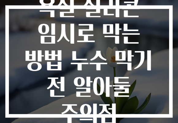 욕실 실리콘 임시로 막는 방법 누수 막기 전 알아둘 주의점
