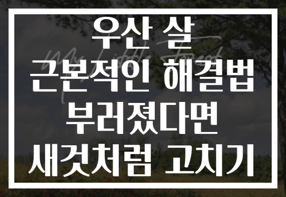 우산 살 근본적인 해결법 부러졌다면 새것처럼 고치기 우산 살 근본적인 해결법 부러졌다면 새것처럼 고치기