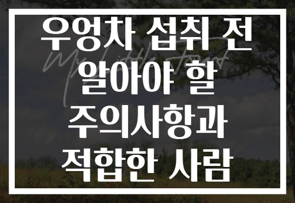 우엉차 섭취 전 알아야 할 주의사항과 적합한 사람 우엉차 섭취 전 알아야 할 주의사항과 적합한 사람