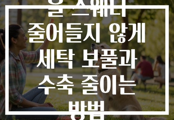 울 스웨터 줄어들지 않게 세탁 보풀과 수축 줄이는 방법