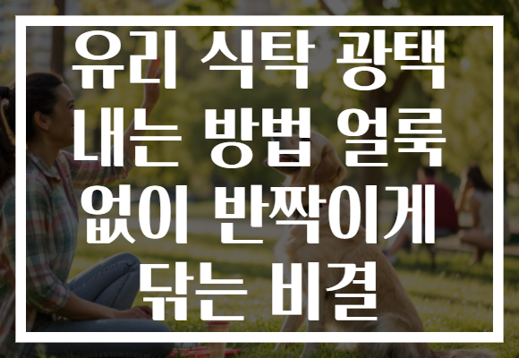 유리 식탁 광택 내는 방법 얼룩 없이 반짝이게 닦는 비결