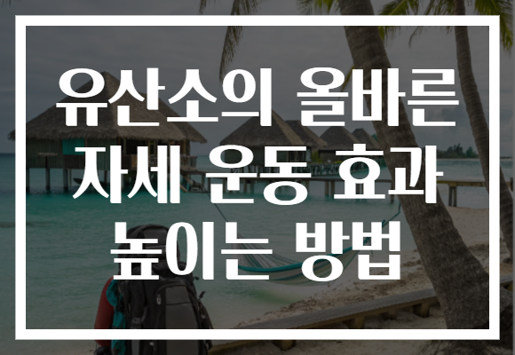 유산소의 올바른 자세 운동 효과 높이는 방법 유산소의 올바른 자세 운동 효과 높이는 방법
