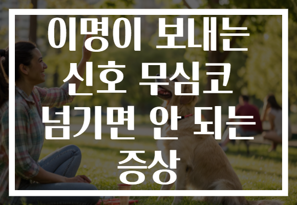 이명이 보내는 신호 무심코 넘기면 안 되는 증상