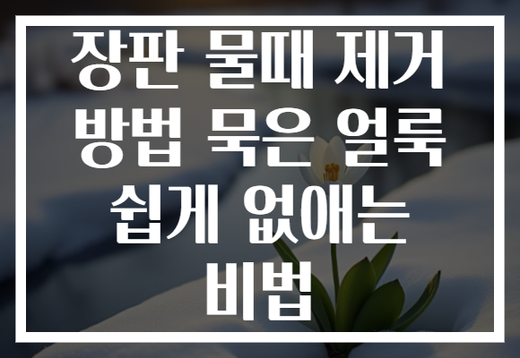 장판 물때 제거 방법 묵은 얼룩 쉽게 없애는 비법