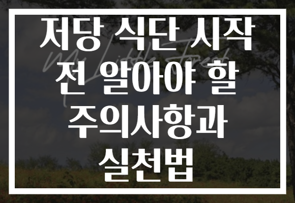 저당 식단 시작 전 알아야 할 주의사항과 실천법 저당 식단 시작 전 알아야 할 주의사항과 실천법