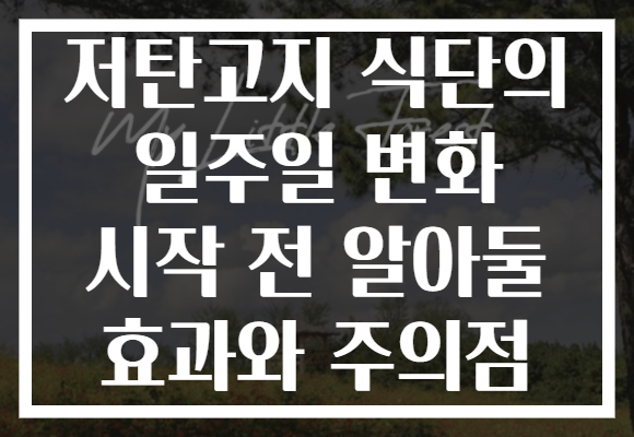 저탄고지 식단의 일주일 변화 시작 전 알아둘 효과와 주의점 저탄고지 식단의 일주일 변화 시작 전 알아둘 효과와 주의점