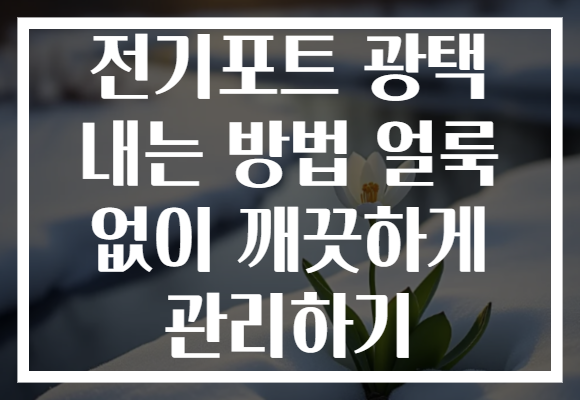 전기포트 광택 내는 방법 얼룩 없이 깨끗하게 관리하기 전기포트 광택 내는 방법 얼룩 없이 깨끗하게 관리하기