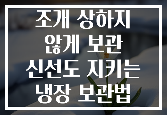 조개 상하지 않게 보관 신선도 지키는 냉장 보관법 조개 상하지 않게 보관 신선도 지키는 냉장 보관법