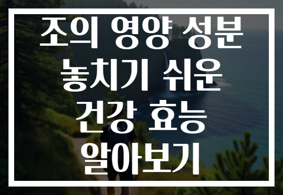 조의 영양 성분 놓치기 쉬운 건강 효능 알아보기 조의 영양 성분 놓치기 쉬운 건강 효능 알아보기