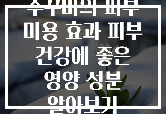 주꾸미의 피부 미용 효과 피부 건강에 좋은 영양 성분 알아보기