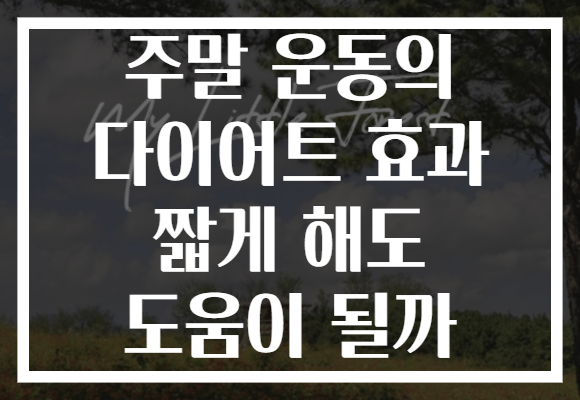 주말 운동의 다이어트 효과 짧게 해도 도움이 될까