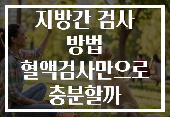 지방간 검사 방법 혈액검사만으로 충분할까 지방간 검사 방법 혈액검사만으로 충분할까