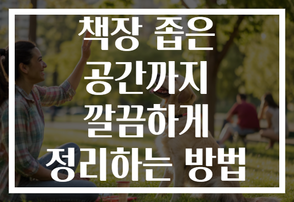 책장 좁은 공간까지 깔끔하게 정리하는 방법 책장 좁은 공간까지 깔끔하게 정리하는 방법