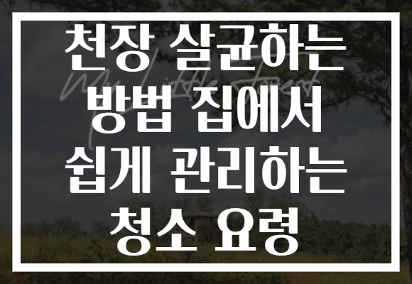 천장 살균하는 방법 집에서 쉽게 관리하는 청소 요령 천장 살균하는 방법 집에서 쉽게 관리하는 청소 요령