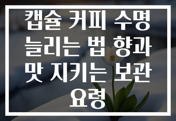 캡슐 커피 수명 늘리는 법 향과 맛 지키는 보관 요령