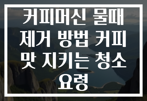 커피머신 물때 제거 방법 커피 맛 지키는 청소 요령