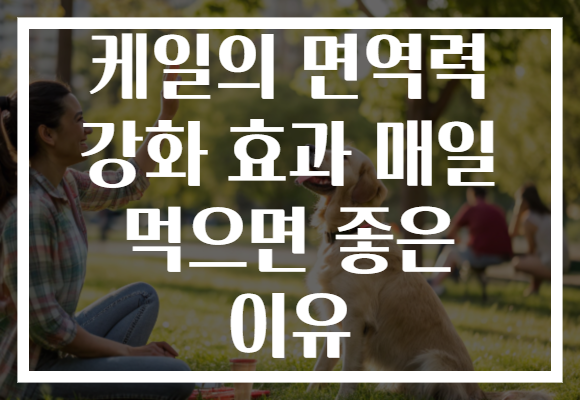 케일의 면역력 강화 효과 매일 먹으면 좋은 이유 케일의 면역력 강화 효과 매일 먹으면 좋은 이유