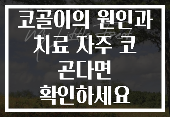 코골이의 원인과 치료 자주 코 곤다면 확인하세요
