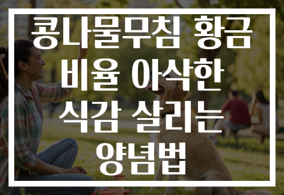 콩나물무침 황금 비율 아삭한 식감 살리는 양념법 콩나물무침 황금 비율 아삭한 식감 살리는 양념법