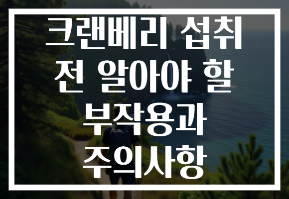 크랜베리 섭취 전 알아야 할 부작용과 주의사항 크랜베리 섭취 전 알아야 할 부작용과 주의사항